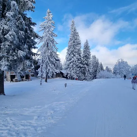 Skikoliba 2