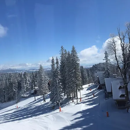 Skikoliba 2 *